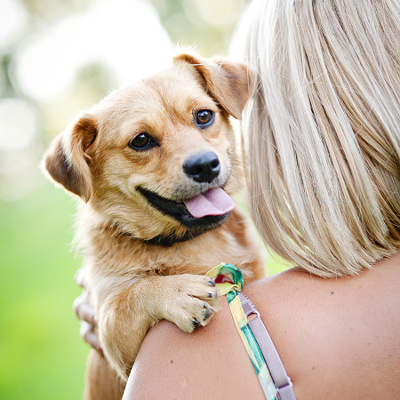 PET CARE