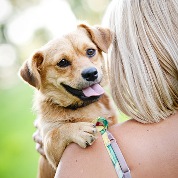 PET CARE
