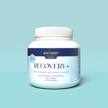 RECOVERY  + Nutritional Supplement 250g
